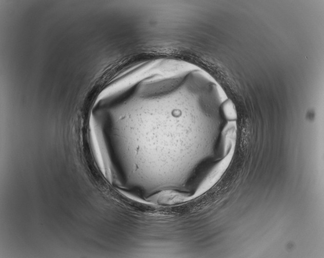 X0000116870739201001121301