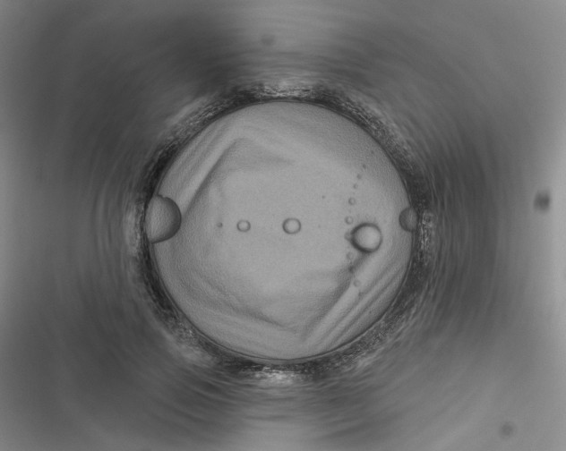 X0000116870741201001121301