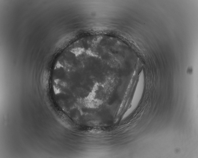 X0000116870742201001121301