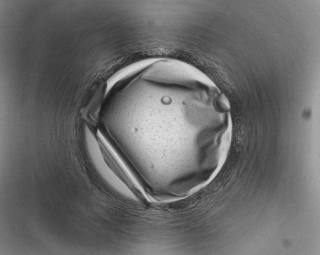 X0000116870743201001121301