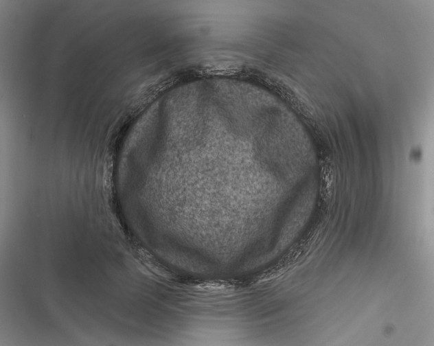 X0000116870745201001121301