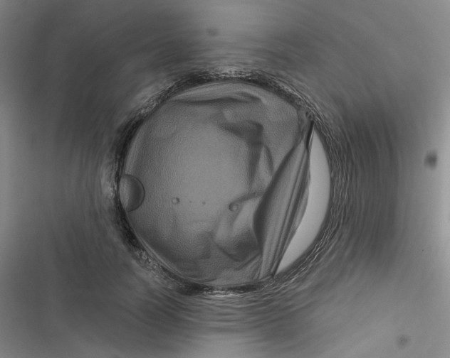 X0000116870746201001121301