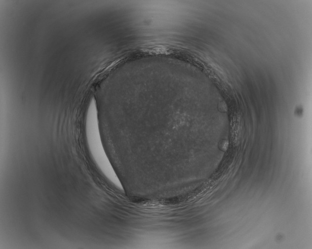 X0000116870747201001121301