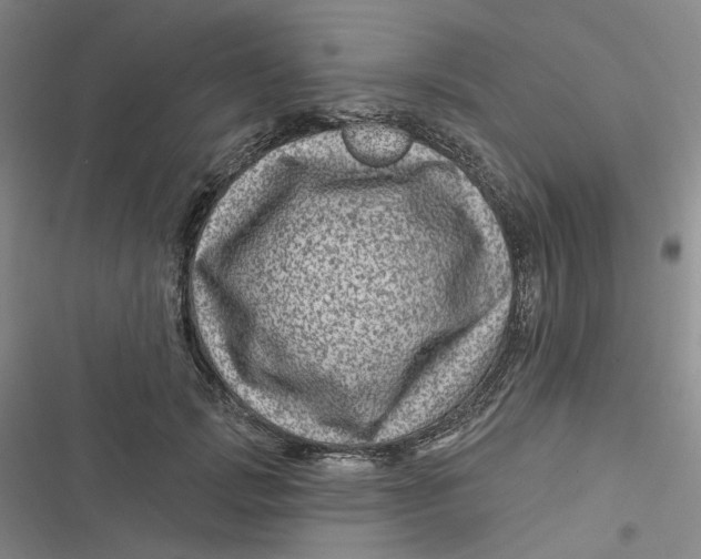 X0000116870749201001121301