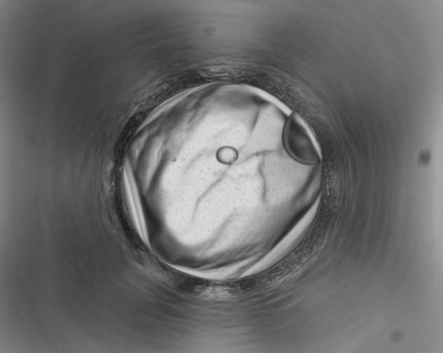 X0000116870751201001121301