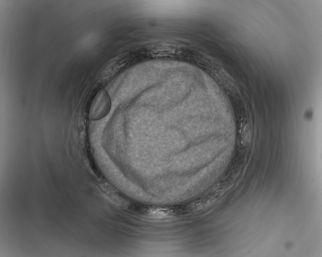 X0000116870753201001121301