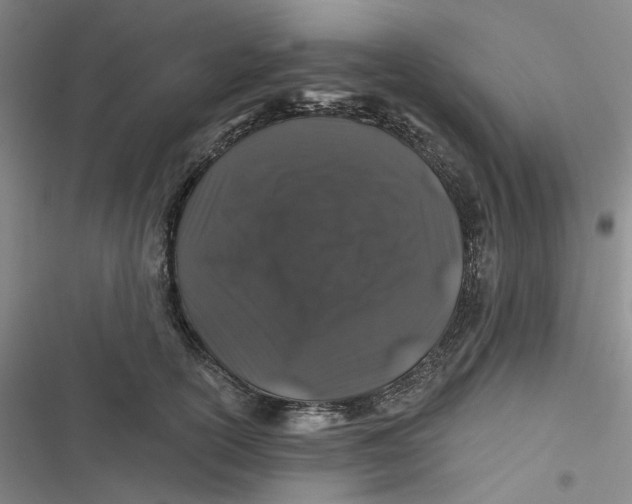 X0000116870754201001121301