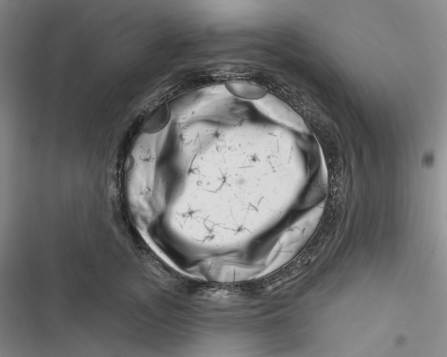 X0000116870755201001121301