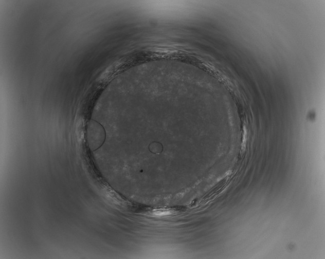 X0000116870758201001121301