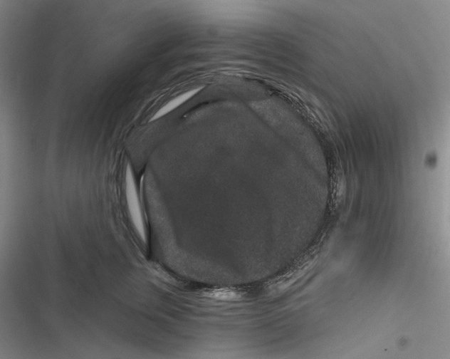 X0000116870759201001121301