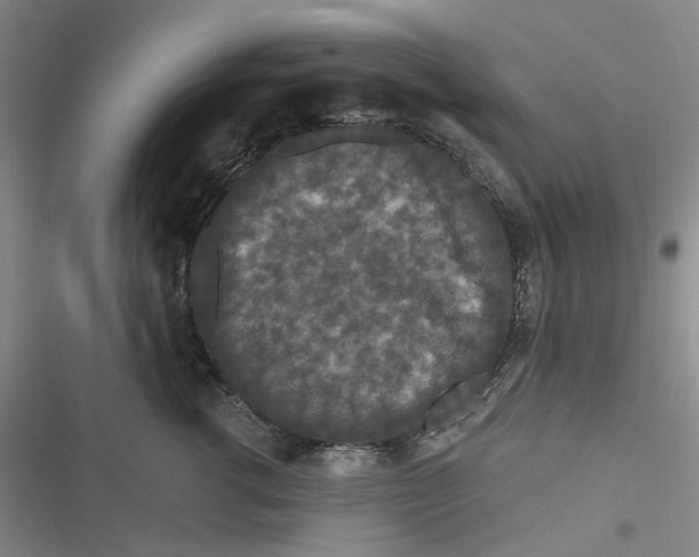 X0000116870762201001121301