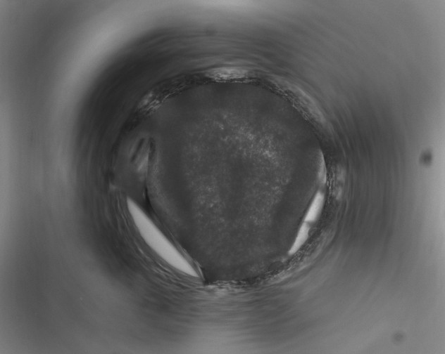 X0000116870763201001121301