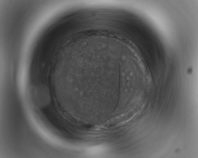 X0000116870765201001121301