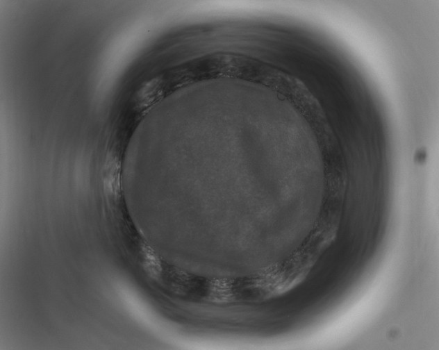 X0000116870766201001121301