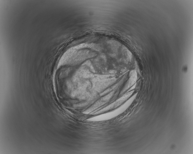 X0000116870769201001121301