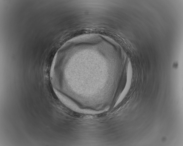 X0000116870770201001121301