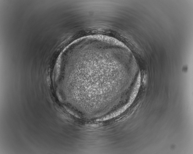 X0000116870771201001121301