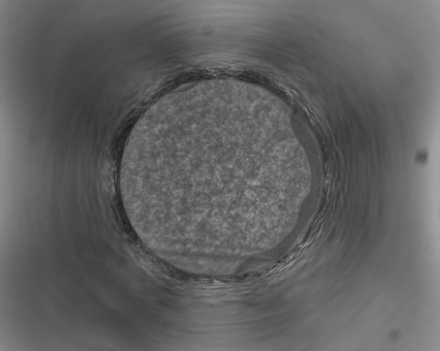 X0000116870772201001121301