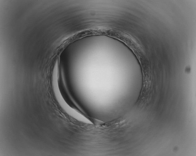 X0000116870773201001121301