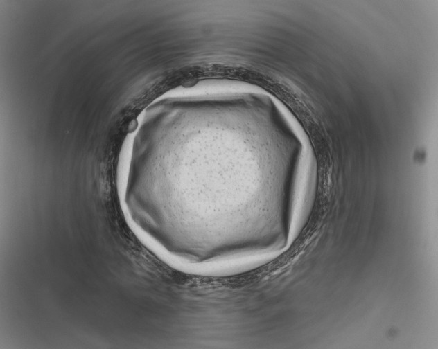 X0000116870774201001121301