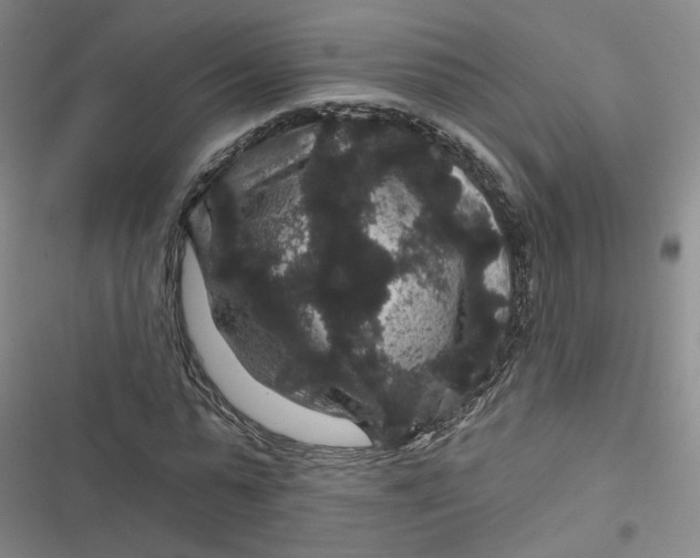 X0000116870775201001121301