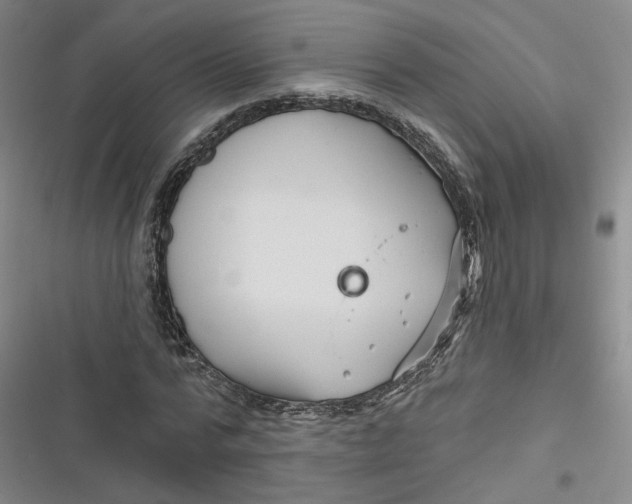 X0000116870776201001121301