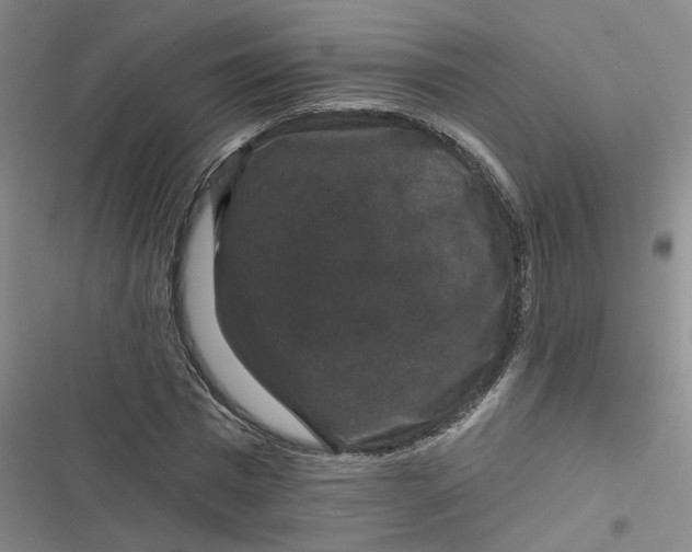 X0000116870777201001121301