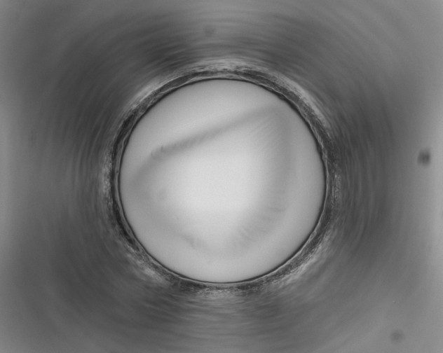 X0000116870778201001121301