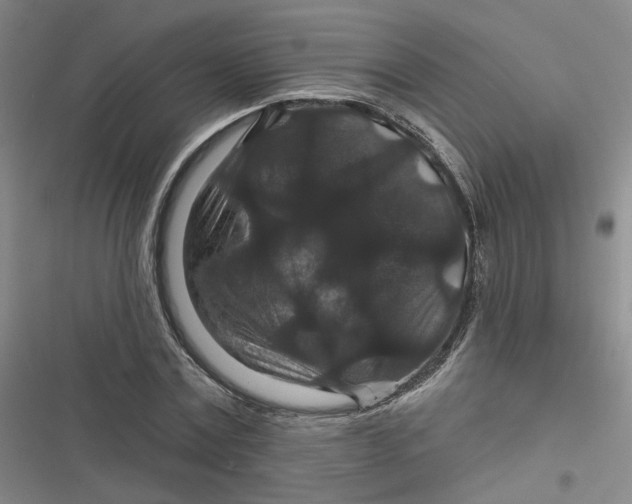 X0000116870779201001121301