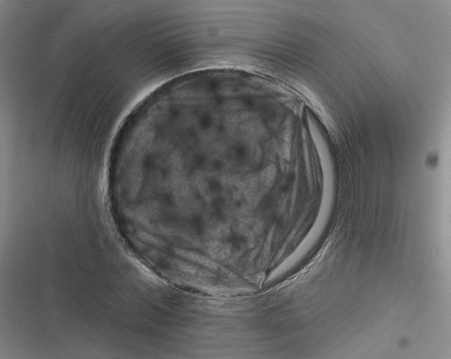 X0000116870780201001121301