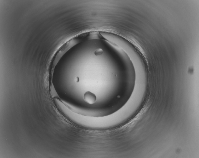 X0000116870781201001121301