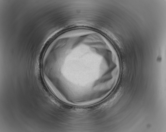 X0000116870782201001121301