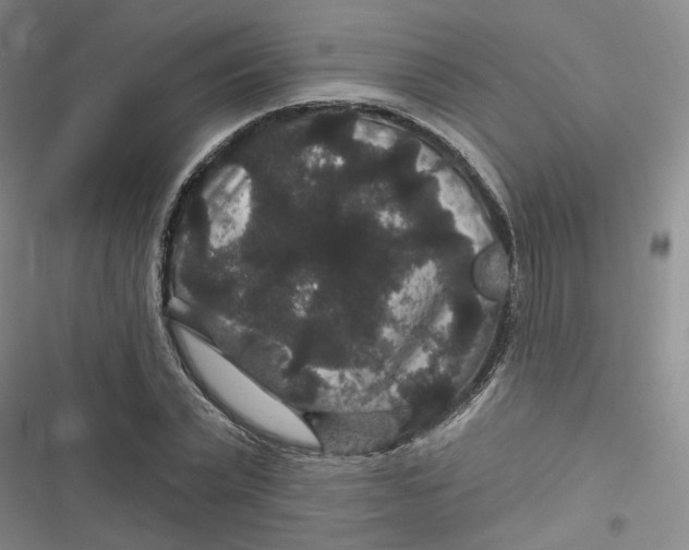 X0000116870783201001121301