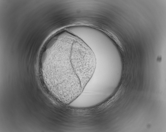 X0000116870784201001121301