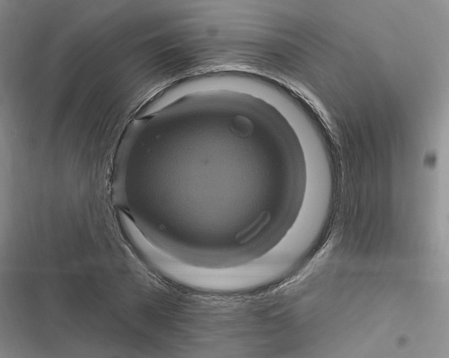 X0000116870785201001121301