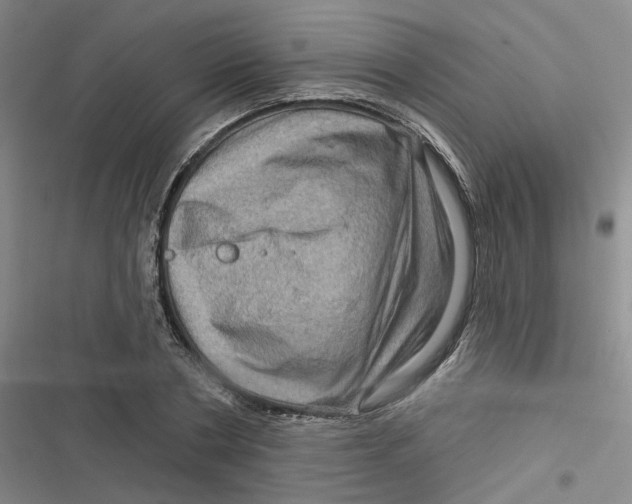 X0000116870786201001121301