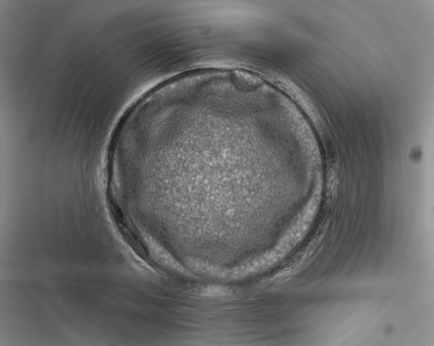 X0000116870787201001121301