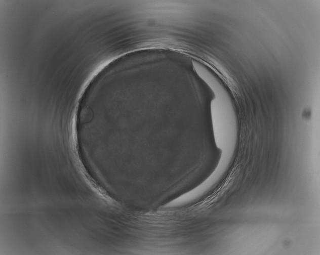 X0000116870788201001121301