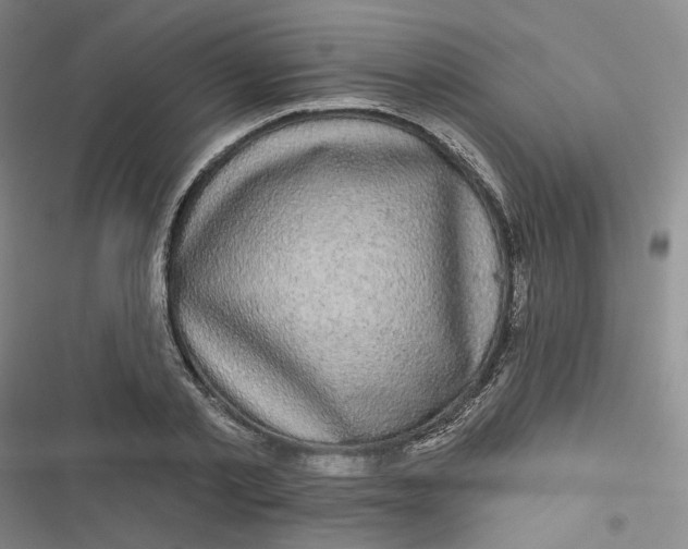 X0000116870789201001121301