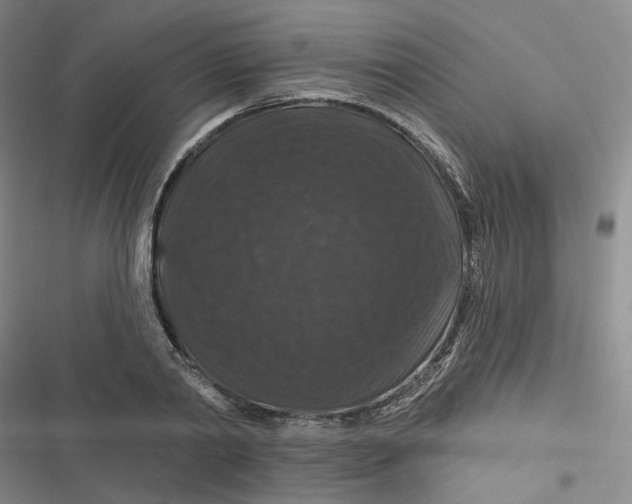 X0000116870790201001121300