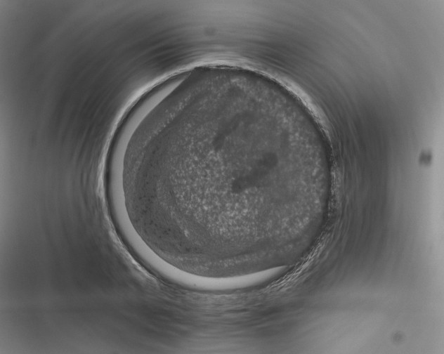 X0000116870791201001121300