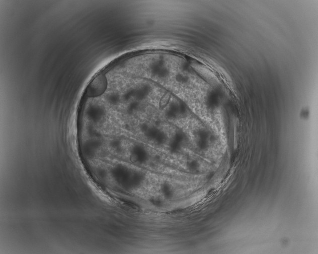 X0000116870792201001121300