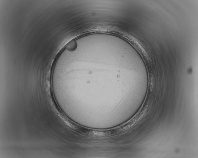 X0000116870794201001121300