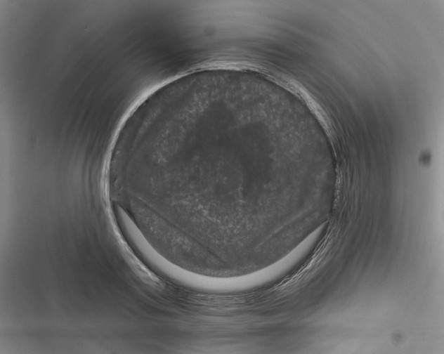 X0000116870795201001121300