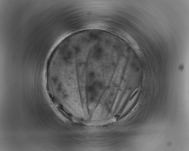 X0000116870796201001121300