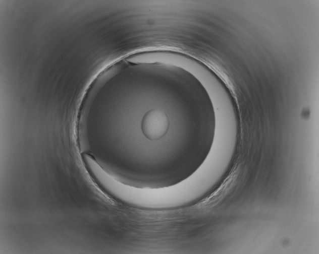 X0000116870797201001121300