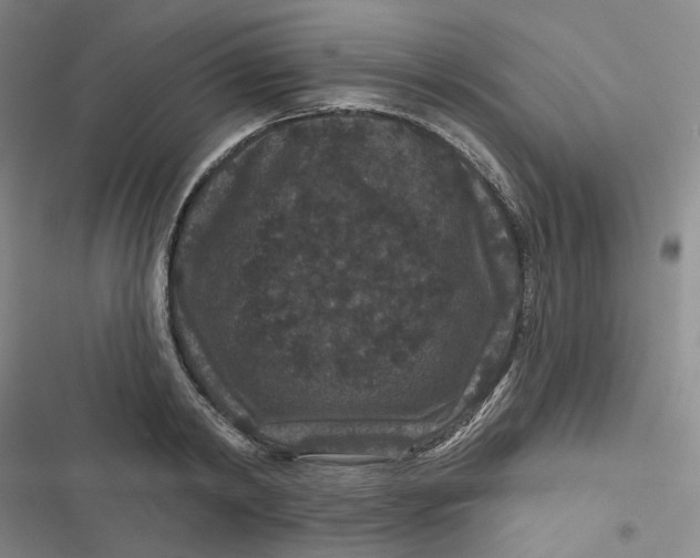 X0000116870798201001121300