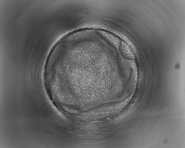 X0000116870799201001121300