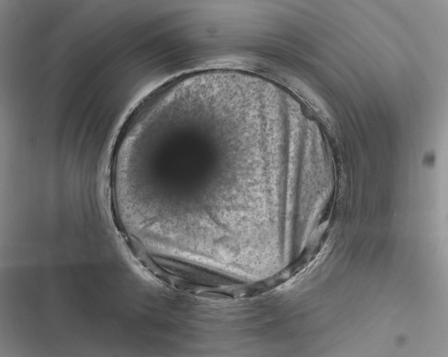 X0000116870800201001121300