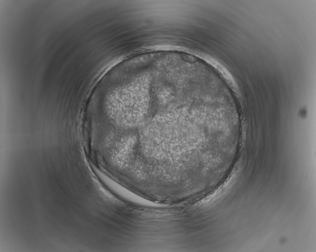 X0000116870801201001121300